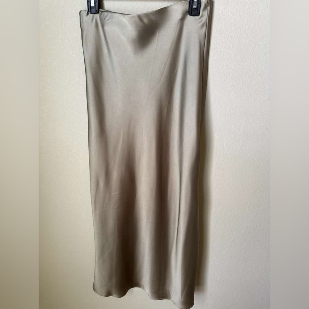 Zara Chic Midi Skirt - Picture 3 of 5